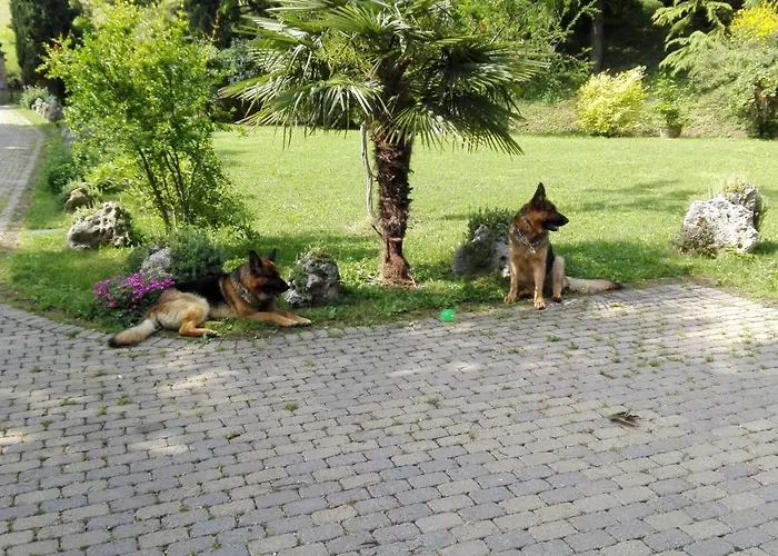 Casina Belvedere לינה וארוחת בוקר