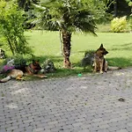 Casina Belvedere Nocleg ze śniadaniem