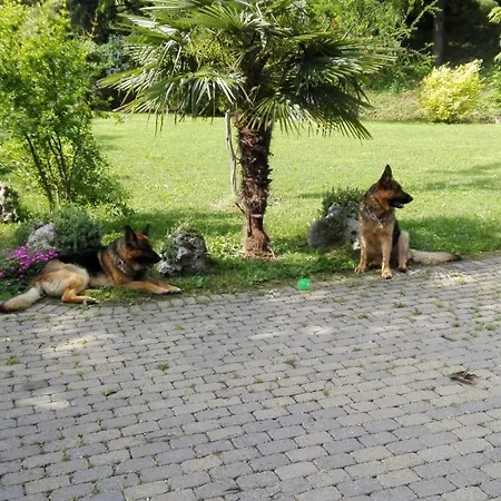 Casina Belvedere Bed & Breakfast